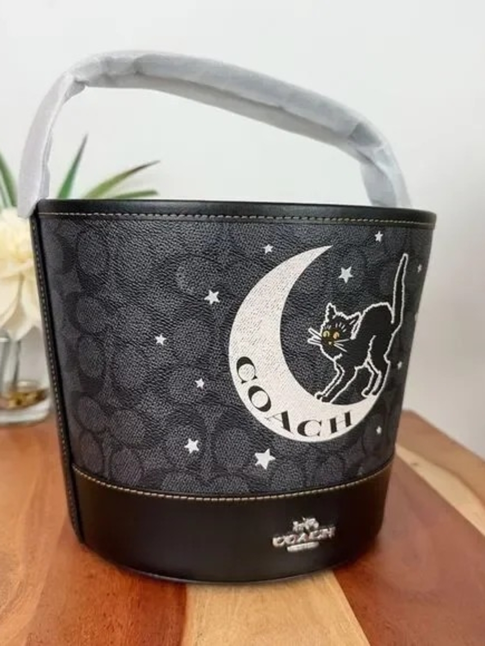 Coach Trick Or Treat Bucket In Signature Canvas With Halloween Graphic - Picture 4 of 7